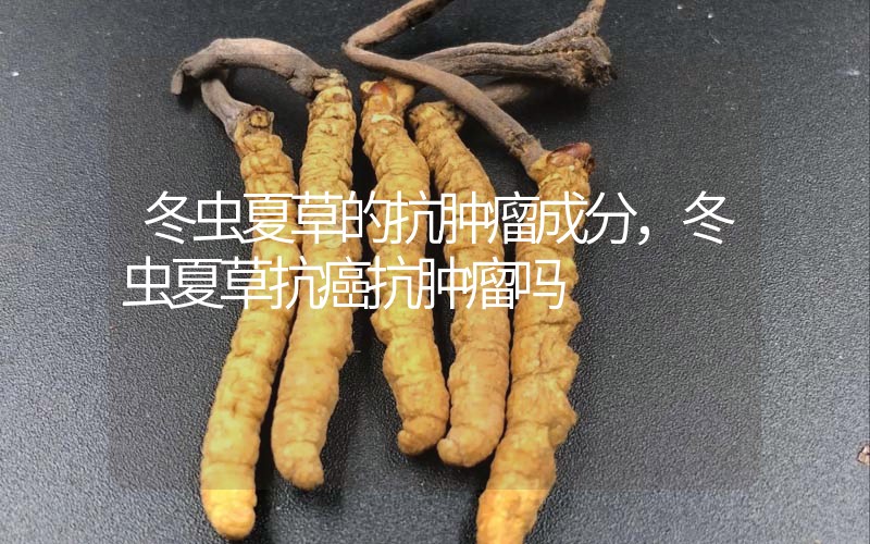 冬蟲夏草的抗腫瘤成分，冬蟲夏草抗癌抗腫瘤嗎？