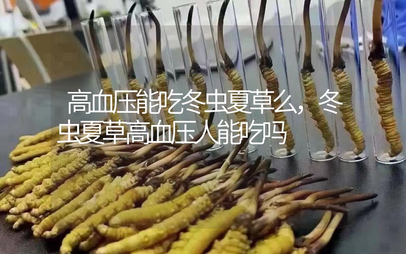 高血壓能吃冬蟲夏草么，冬蟲夏草高血壓人能吃嗎