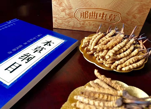 冬蟲(chóng)夏草真就那么好嗎？它的主要功能是什么呀