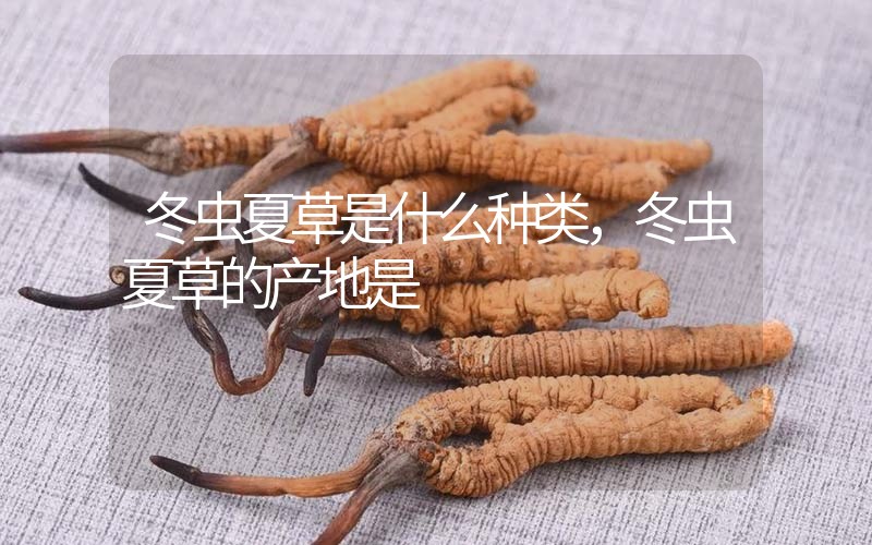 冬蟲(chóng)夏草是什么種類，冬蟲(chóng)夏草的產(chǎn)地是