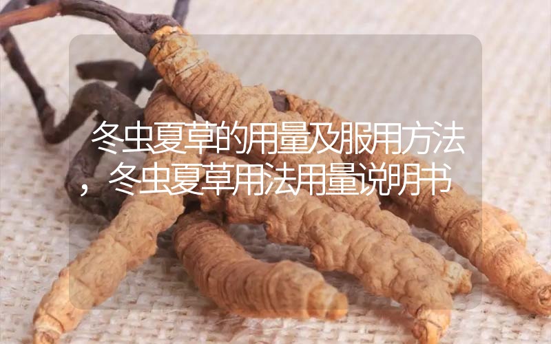 冬蟲夏草的用量及服用方法，冬蟲夏草用法用量