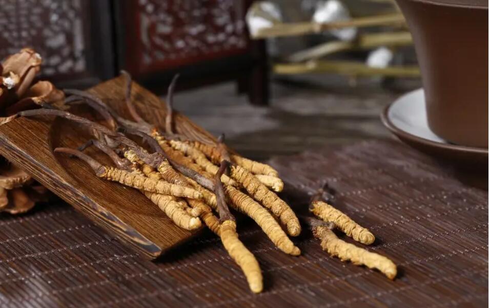 冬蟲夏草怎么選擇，冬蟲夏草選怎么樣的最好?