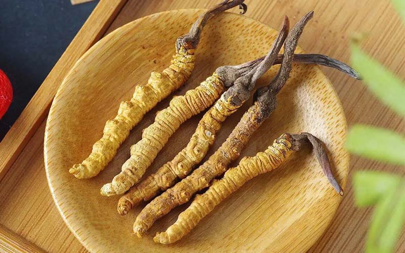 冬蟲夏草作用可以調(diào)節(jié)身體肝臟功能嗎？