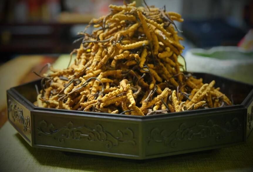 <a href=http://www.ynrhw.com/ target=_blank class=infotextkey>冬蟲夏草</a>