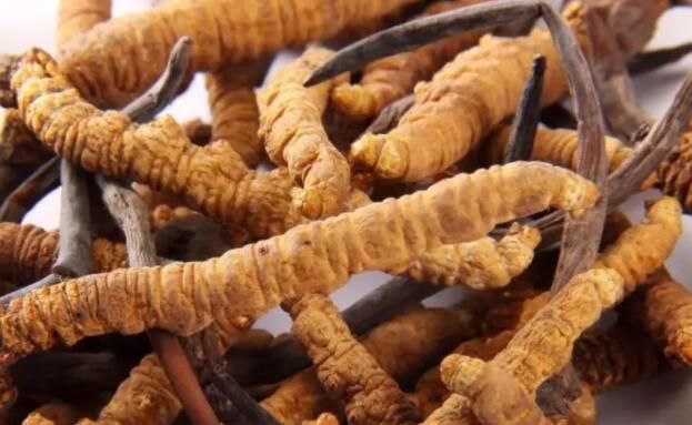 <a href=http://www.ynrhw.com/chifa/ target=_blank class=infotextkey>冬蟲夏草的吃法</a>