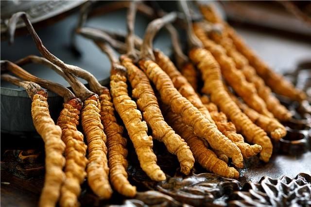 冬蟲(chóng)夏草的處理流程