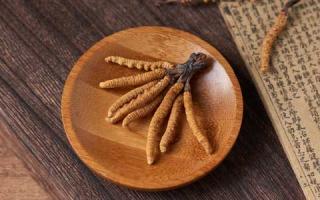 如何正確保存冬蟲夏草，避免變質(zhì)失效？