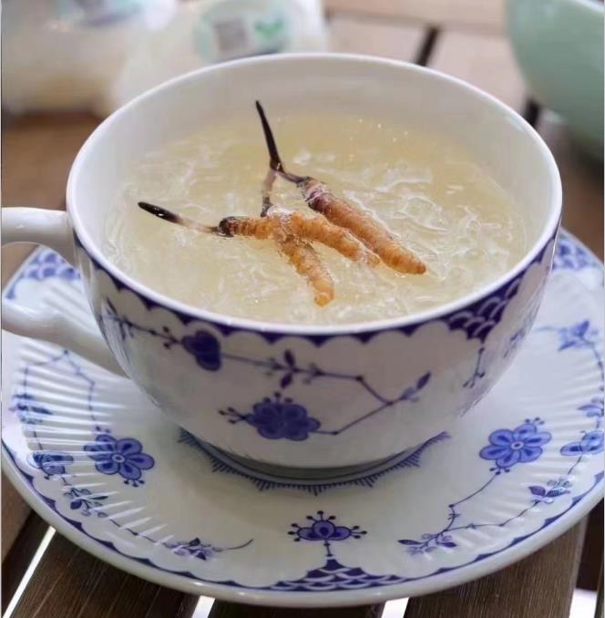 養(yǎng)生小竅門：冬蟲夏草燉什么好喝？