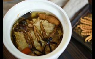 冬蟲夏草怎么食用？解鎖滋補(bǔ)養(yǎng)生的正確打開方式