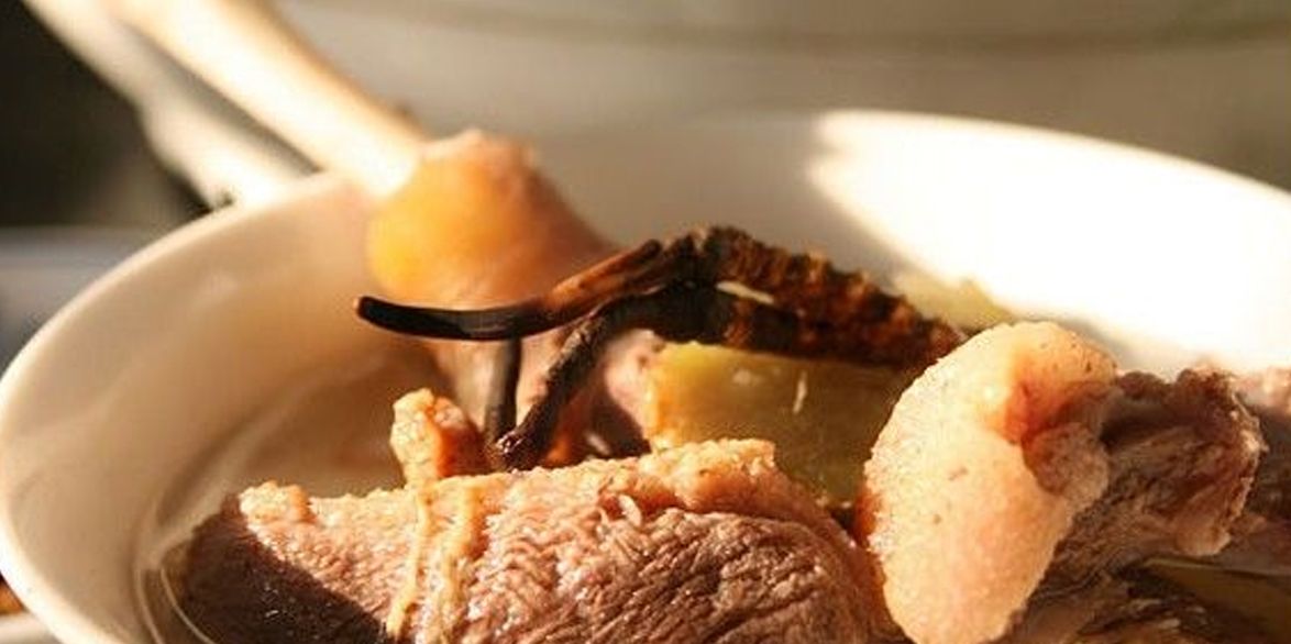 冬蟲夏草怎么吃？多種食用方法全解析