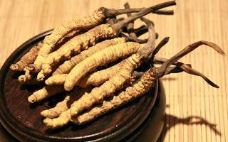 冬蟲夏草的價格一克：為何如此昂貴？