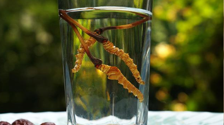 <a href=http://www.ynrhw.com/xinxian/ target=_blank class=infotextkey>鮮冬蟲夏草</a>怎么泡好吃？這些配方讓滋補更有滋味