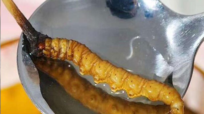 冬蟲(chóng)夏草鮮草冷凍后這樣吃，營(yíng)養(yǎng)不流失！