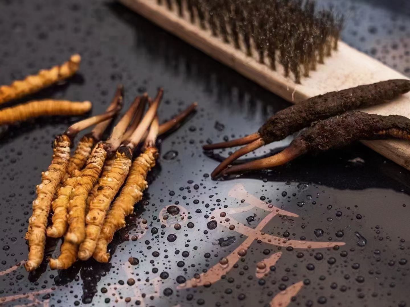 冬蟲(chóng)夏草鮮草清理全指南:洗凈滋補(bǔ)好食材