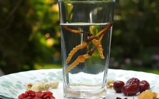 冬蟲夏草鮮品泡酒：養(yǎng)生佳釀還是健康隱患？