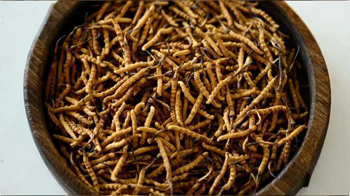 <a href=http://www.ynrhw.com/jiage/ target=_blank class=infotextkey>冬蟲夏草價格</a>探秘：多因素交織下的市場行情