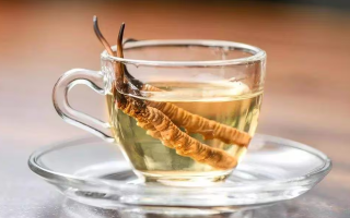 一杯蟲草水，健康新滋味：冬蟲夏草泡水喝的奇妙功效