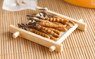 冬蟲夏草一般多少錢一斤？價格背后的價值解析