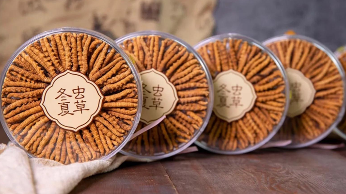 2025年7月冬蟲夏草價格行情公布！<a href=http://www.ynrhw.com/jiage/ target=_blank class=infotextkey>蟲草價格</a>降了！