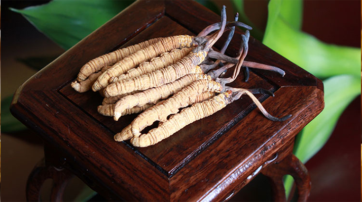 怎樣鑒別<a href=http://www.ynrhw.com/tag/6.html target=_blank class=infotextkey>冬蟲(chóng)夏草的產(chǎn)地</a>