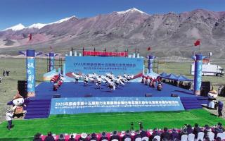 極地那曲奏響蟲(chóng)草產(chǎn)業(yè)與文旅融合新樂(lè)章