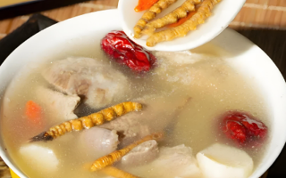 老人可以喝冬蟲夏草茶嗎？科學(xué)飲用的養(yǎng)生指南