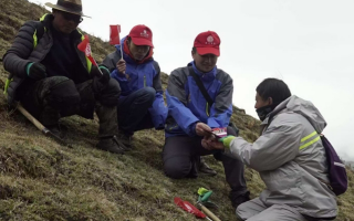 冬蟲夏草：把握最佳采摘季，守護(hù)自然饋贈(zèng)