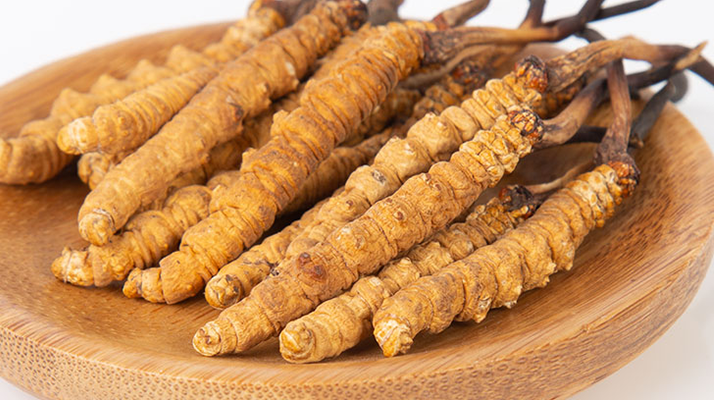 冬蟲夏草，真有那么大效果？