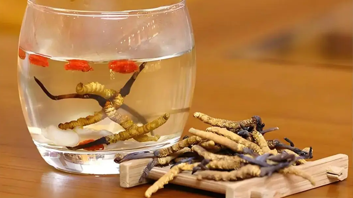 長(zhǎng)期喝冬蟲(chóng)夏草泡水好嗎?科學(xué)分析與飲用指南