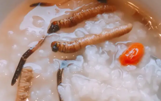 冬蟲夏草適合哪些人群？精準匹配與禁忌提醒