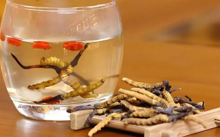 長期喝冬蟲夏草泡水好嗎？科學分析與飲用指南