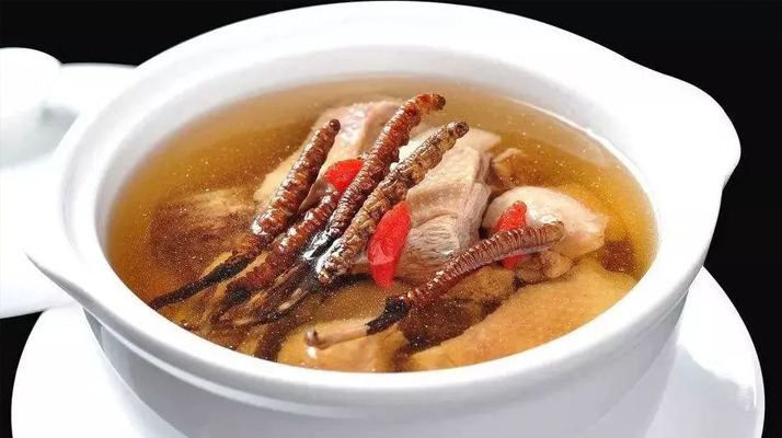 冬蟲夏草怎樣燉是最好的？掌握這幾步，營養(yǎng)不流失還美味