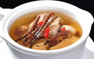 冬蟲夏草怎樣燉是最好的？掌握這幾步，營養(yǎng)不流失還美味