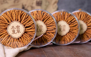 把握黃金時段！冬蟲夏草在這些時候吃效果更佳