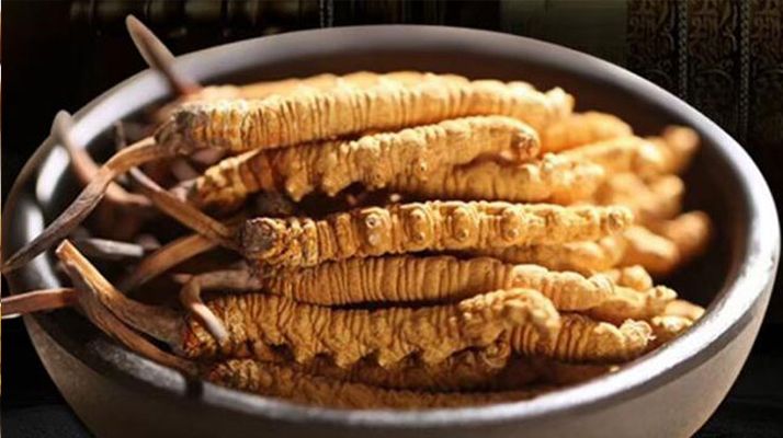 冬蟲夏草效果好不好用？科學(xué)與實(shí)踐視角下的全面解析