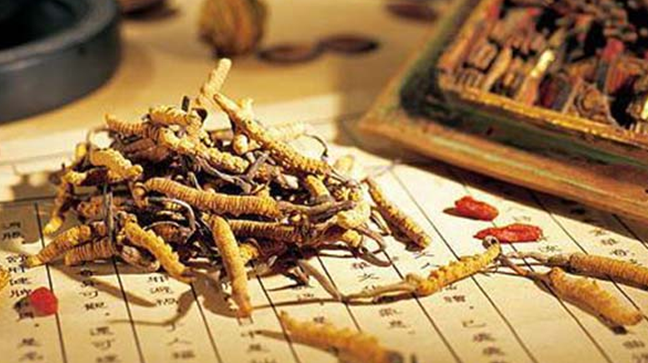 冬蟲(chóng)夏草最新行情走勢(shì)：多因素交織下的市場(chǎng)變局