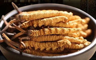 冬蟲夏草效果好不好用？科學(xué)與實(shí)踐視角下的全面解析