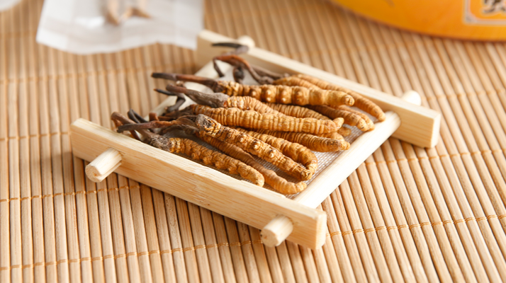  冬蟲(chóng)夏草效果好不好用？看適用場(chǎng)景與人群，理性看待才不踩坑