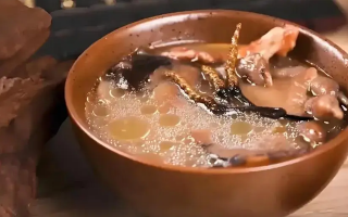 冬蟲(chóng)夏草治什么病效果好？厘清輔助調(diào)理邊界與適用場(chǎng)景