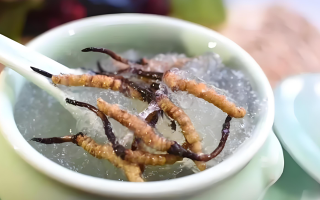 十根冬蟲夏草能泡幾斤酒？泡酒比例與細(xì)節(jié)指南