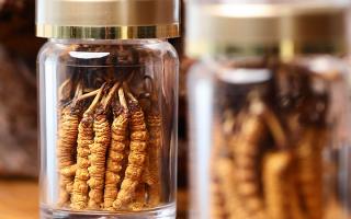 送冬蟲夏草給男孩子好嗎？分場景分析 + 送禮建議