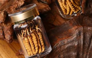 鮮冬蟲夏草泡水后怎么保存？3 種場景保存方法 + 避坑指南