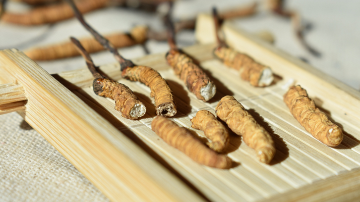 斷的<a href=http://www.ynrhw.com/ target=_blank class=infotextkey>冬蟲(chóng)夏草</a>一克啥價(jià)