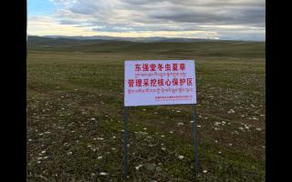 高原之上，蟲(chóng)草共生；守護(hù)生態(tài)，東強(qiáng)堂與你同行