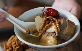  冬蟲夏草和什么食材搭配煲湯比較好？