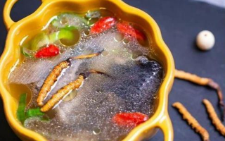 那曲冬蟲夏草辨別全指南｜教你避開市場陷阱，認準正宗珍品