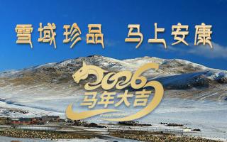 雪域高原藏珍品，2026愿您馬上安康——來(lái)自西藏那曲蟲(chóng)草網(wǎng)的新春祝福